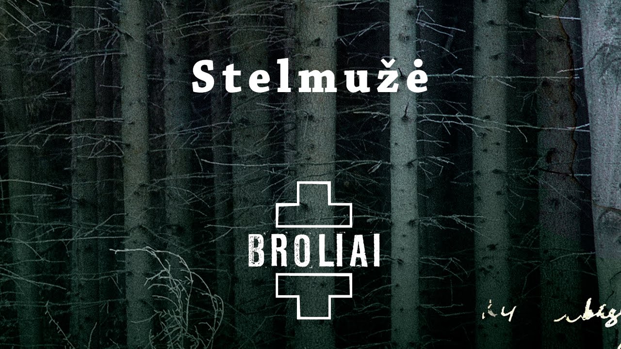 Aistė Smilgevičiūtė ir grupė SKYLĖ - Stelmužė Mp3 Atsisiųsti