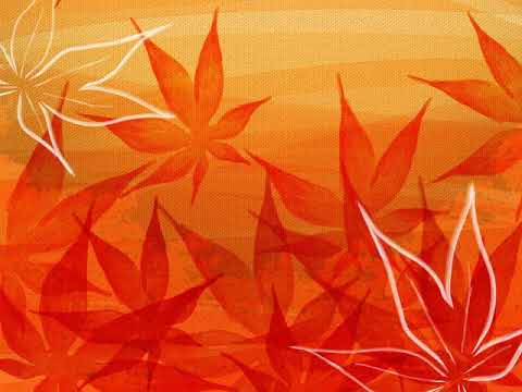 Citrin - Duckfly Mp3 Atsisiųsti