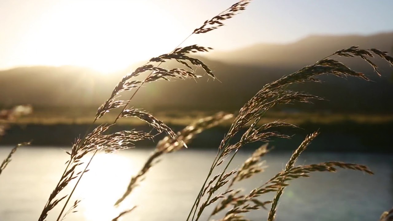 Inga Jankauskaitė - Paleisk mano ranką Mp3 Atsisiųsti