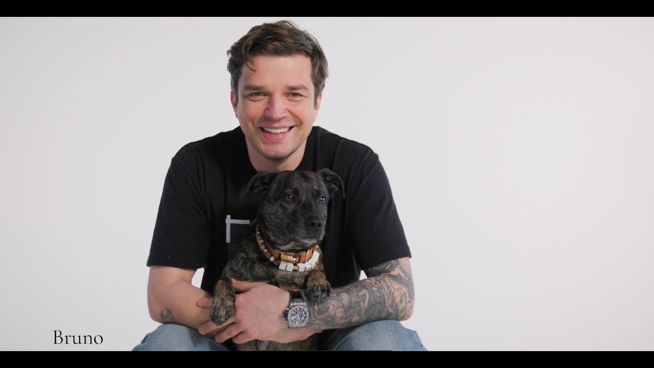 Jovani - Apologize Mp3 Atsisiųsti