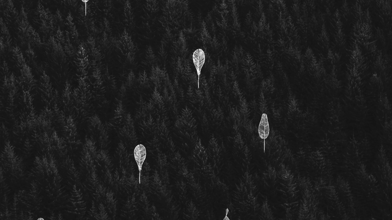 kamanių šilelis - Lakštingalėle Mp3 Atsisiųsti