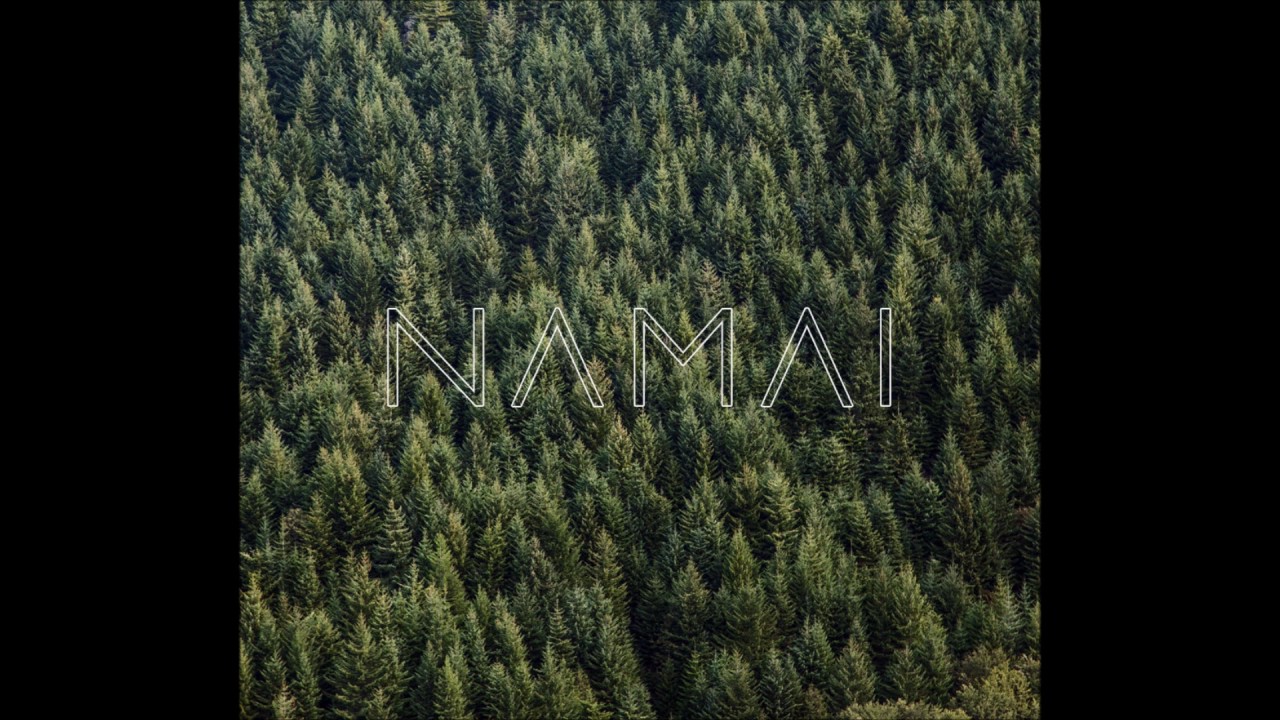 kamanių šilelis - NEIŠTVERSIU Mp3 Atsisiųsti