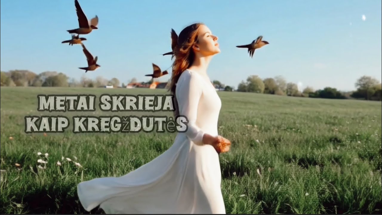 Metai Skrieja Kaip Kregždutės (Official audio Music Clip) Daina by Dj.Fublies Mp3 Atsisiųsti